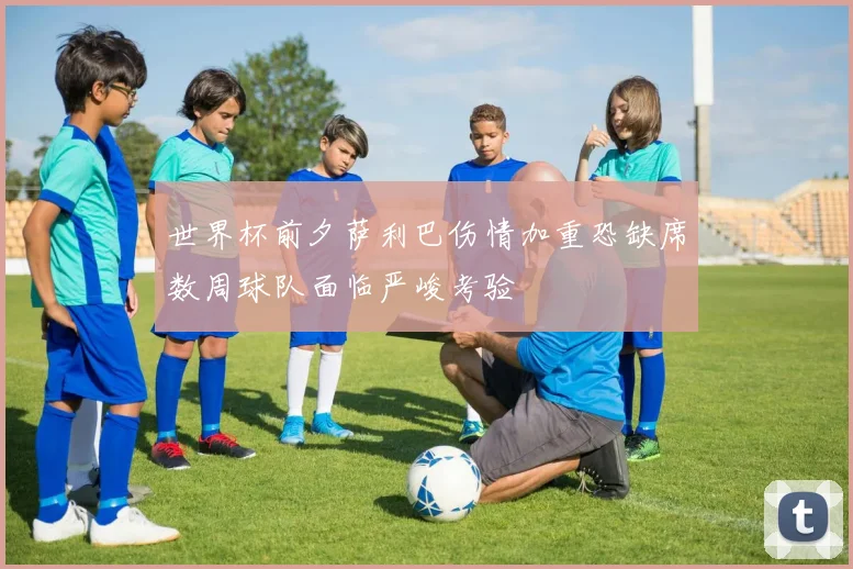 世界杯前夕萨利巴伤情加重恐缺席数周球队面临严峻考验